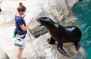 Seneca Park Zoo